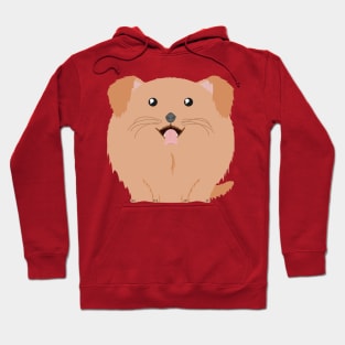 Sfurical round golden retriever dog Hoodie